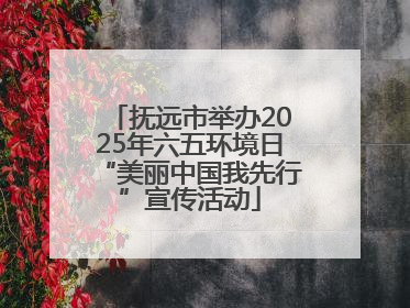 抚远市举办2025年六五环境日“美丽中国我先行”宣传活动
