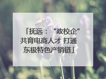 抚远：“政校企”共育电商人才 打通东极特色产销链