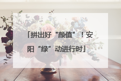 拼出好“颜值”！安阳“绿”动进行时