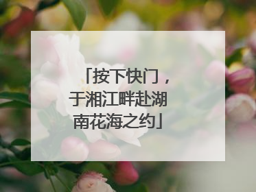 按下快门，于湘江畔赴湖南花海之约