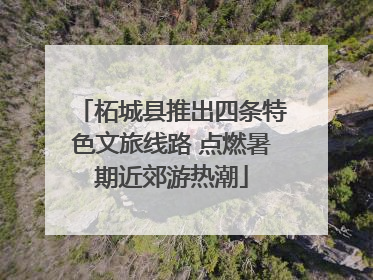 柘城县推出四条特色文旅线路 点燃暑期近郊游热潮