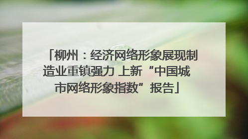 柳州：经济网络形象展现制造业重镇强力 上新“中国城市网络形象指数”报告