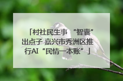 村社民生事 “智囊”出点子 嘉兴市秀洲区推行AI“民情一本账”