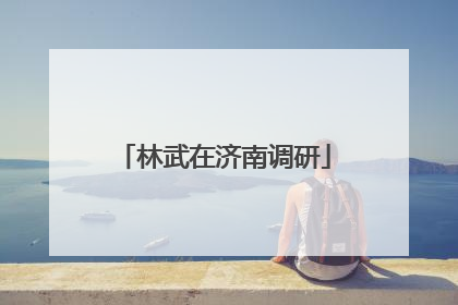 林武在济南调研