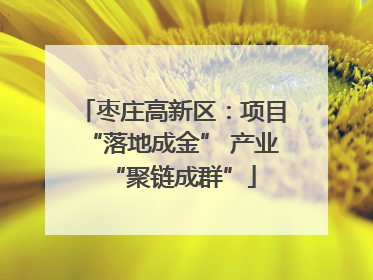 枣庄高新区：项目“落地成金” 产业“聚链成群”