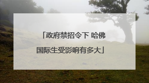 政府禁招令下 哈佛国际生受影响有多大