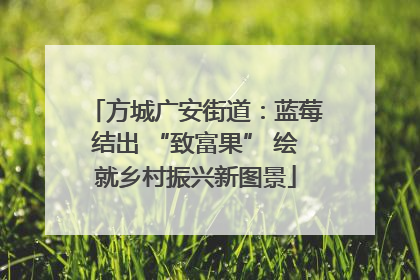 方城广安街道：蓝莓结出 “致富果” 绘就乡村振兴新图景