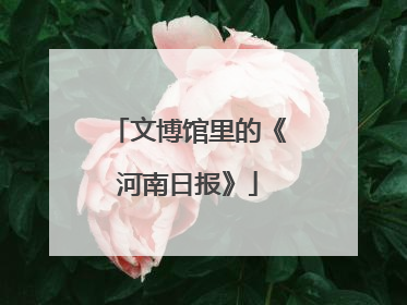 文博馆里的《河南日报》