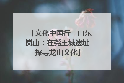 文化中国行｜山东岚山：在尧王城遗址探寻龙山文化