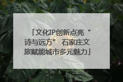 文化IP创新点亮“诗与远方” 石家庄文旅赋能城市多元魅力