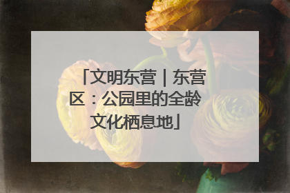 文明东营｜东营区：公园里的全龄文化栖息地