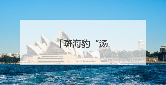 斑海豹“汤圆”归海记