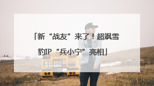 新“战友”来了！超飒雪豹IP“兵小宁”亮相