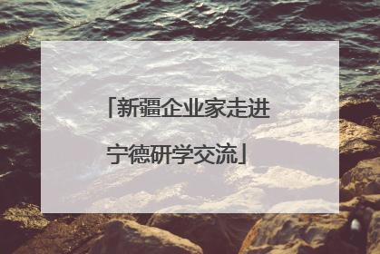 新疆企业家走进宁德研学交流