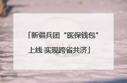 新疆兵团“医保钱包”上线 实现跨省共济