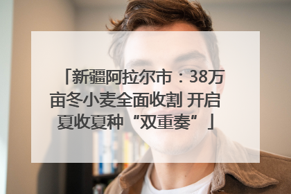 新疆阿拉尔市：38万亩冬小麦全面收割 开启夏收夏种“双重奏”
