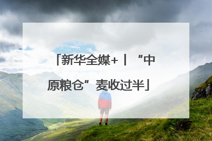 新华全媒+丨“中原粮仓”麦收过半