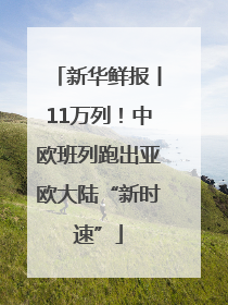 新华鲜报丨11万列！中欧班列跑出亚欧大陆“新时速”