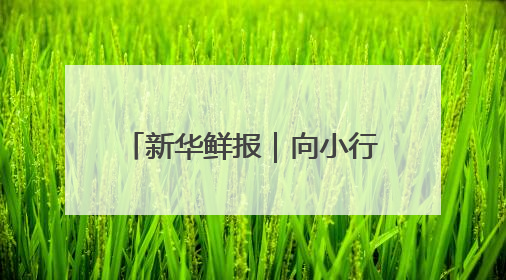 新华鲜报｜向小行星进发！天问二号开启“追星”之旅