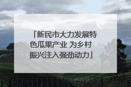 新民市大力发展特色瓜果产业 为乡村振兴注入强劲动力