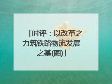 时评：以改革之力筑铁路物流发展之基(图)