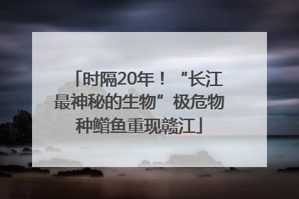 时隔20年！“长江最神秘的生物”极危物种鳤鱼重现赣江
