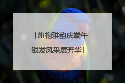 旗袍雅韵庆端午 银发风采展芳华