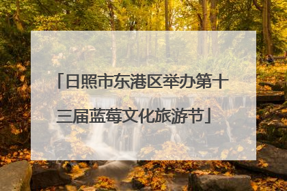 日照市东港区举办第十三届蓝莓文化旅游节