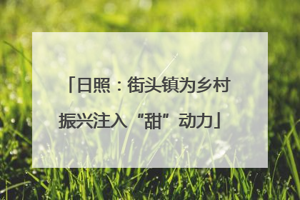 日照：街头镇为乡村振兴注入“甜”动力