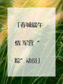 春城端午情 军营“粽”动员