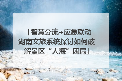 智慧分流+应急联动 湖南文旅系统探讨如何破解景区“人海”困局