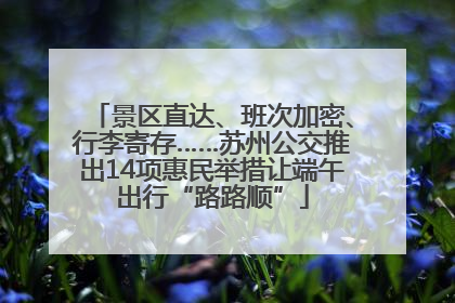 景区直达、班次加密、行李寄存……苏州公交推出14项惠民举措让端午出行“路路顺”