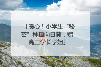 暖心！小学生“秘密”种植向日葵，赠高三学长学姐