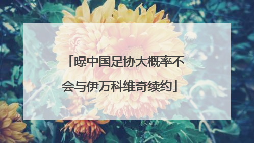 曝中国足协大概率不会与伊万科维奇续约