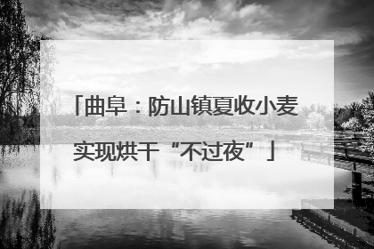 曲阜：防山镇夏收小麦实现烘干“不过夜”