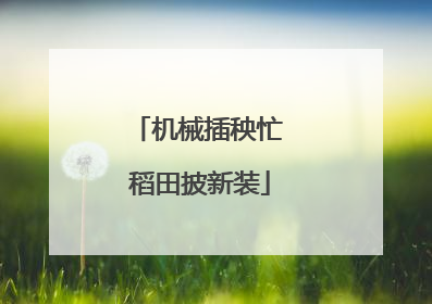 机械插秧忙 稻田披新装