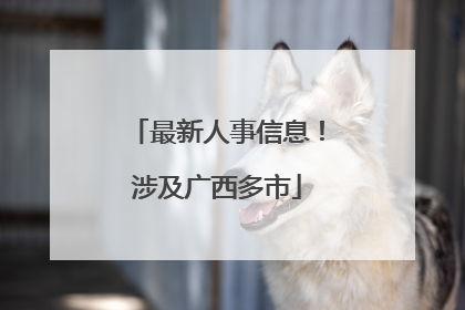 最新人事信息！涉及广西多市