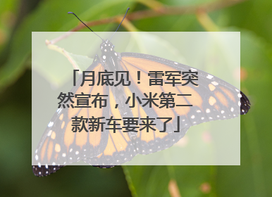 月底见！雷军突然宣布，小米第二款新车要来了