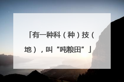 有一种科（种）技（地），叫“吨粮田”