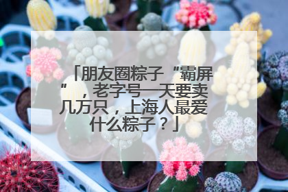 朋友圈粽子“霸屏”，老字号一天要卖几万只，上海人最爱什么粽子？