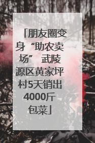 朋友圈变身“助农卖场” 武陵源区黄家坪村5天销出4000斤包菜