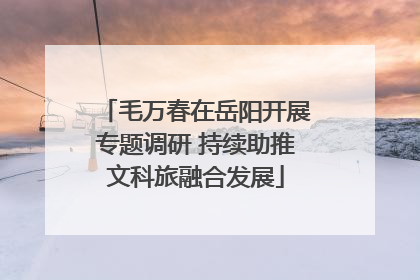 毛万春在岳阳开展专题调研 持续助推文科旅融合发展