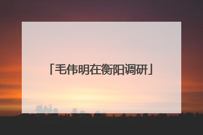 毛伟明在衡阳调研
