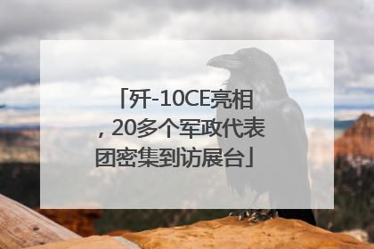 歼-10CE亮相，20多个军政代表团密集到访展台