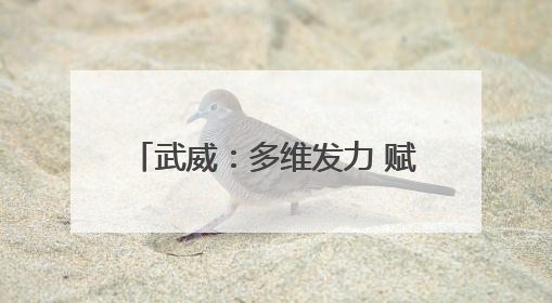 武威：多维发力 赋能创业者逐梦前行