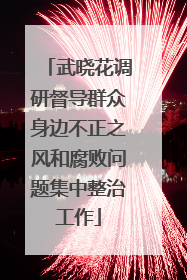 武晓花调研督导群众身边不正之风和腐败问题集中整治工作