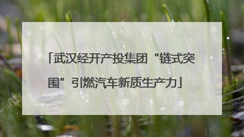 武汉经开产投集团“链式突围”引燃汽车新质生产力