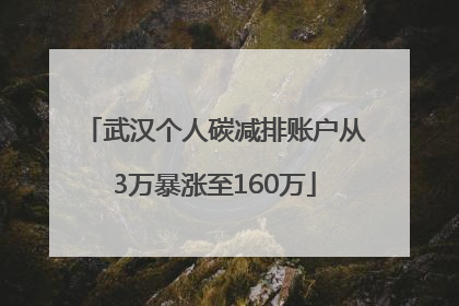 武汉个人碳减排账户从3万暴涨至160万