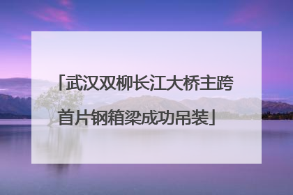 武汉双柳长江大桥主跨首片钢箱梁成功吊装