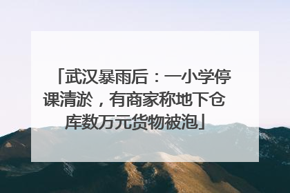 武汉暴雨后：一小学停课清淤，有商家称地下仓库数万元货物被泡
